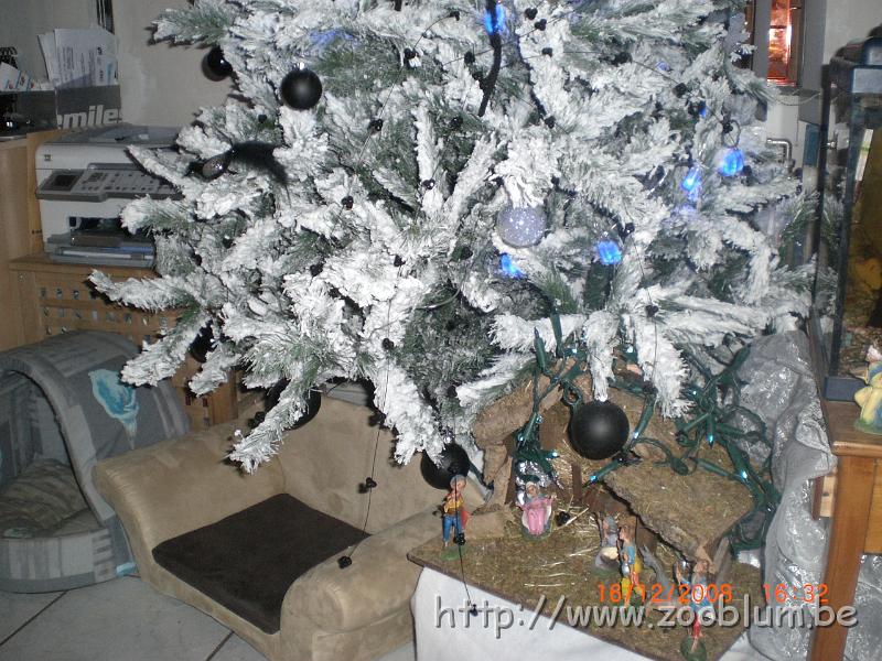 CIMG4021.JPG - Le sapin dans le salon