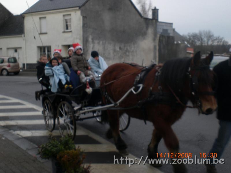 CIMG3940.JPG - Balade en calèche... brrrrrrrrr il fait froid !