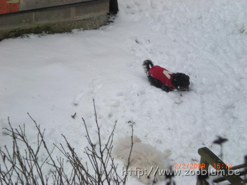 CIMG4783.JPG - hummmmmm c'est bon la neige !