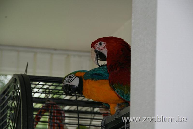 IMG_2140.JPG