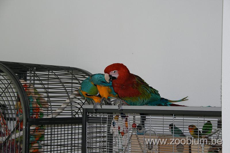 IMG_2142.JPG