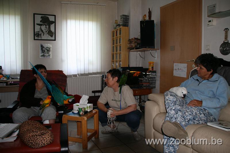 IMG_2177.JPG